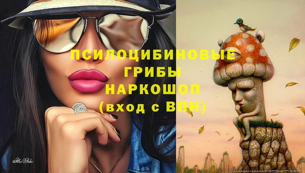 гидра Баксан