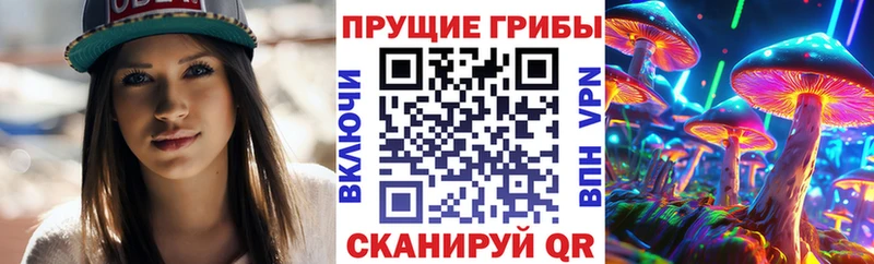 цены   Южно-Сухокумск  Псилоцибиновые грибы Psilocybe 